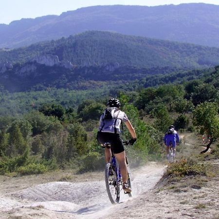 Studio Trivalle Καρκασόν Εξωτερικό φωτογραφία