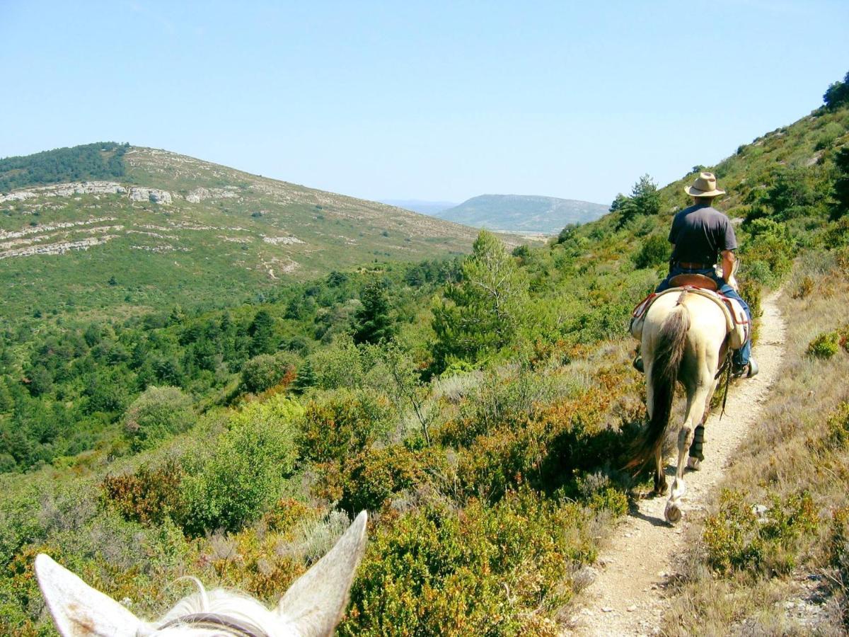 Studio Trivalle Καρκασόν Εξωτερικό φωτογραφία